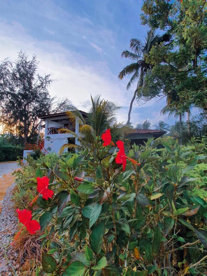 Flame Tree Cottages Nungwi Eksteriør bilde