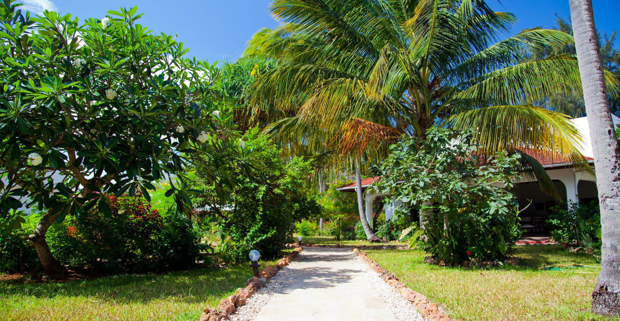 Flame Tree Cottages Nungwi Eksteriør bilde